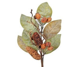 25 inch Dried Magnolia Leaf with Nuts and Cones Spray