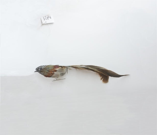 8" Natural Feather Bird Ornament