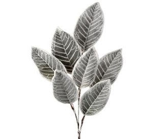 36" Frosted Magnolia Leaf Spray