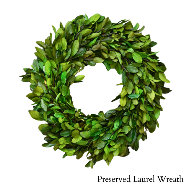 Preserved Laurel Wreath, 16"