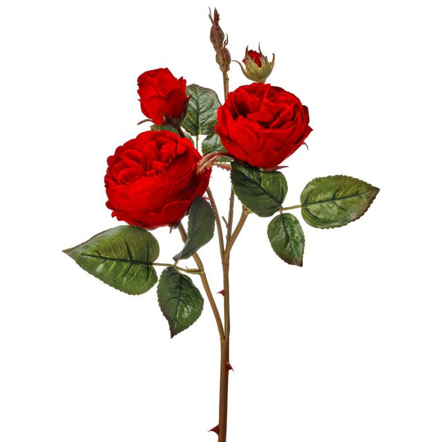 23.5" Red Cabbage Roses with Buds