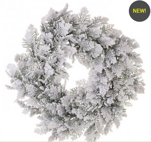 24” Snowy Acadia Cedar Wreath