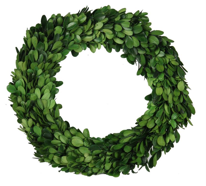 9.75" Preserved Boxwood Candle Ring/Wreath
