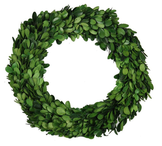 9.75" Preserved Boxwood Candle Ring/Wreath