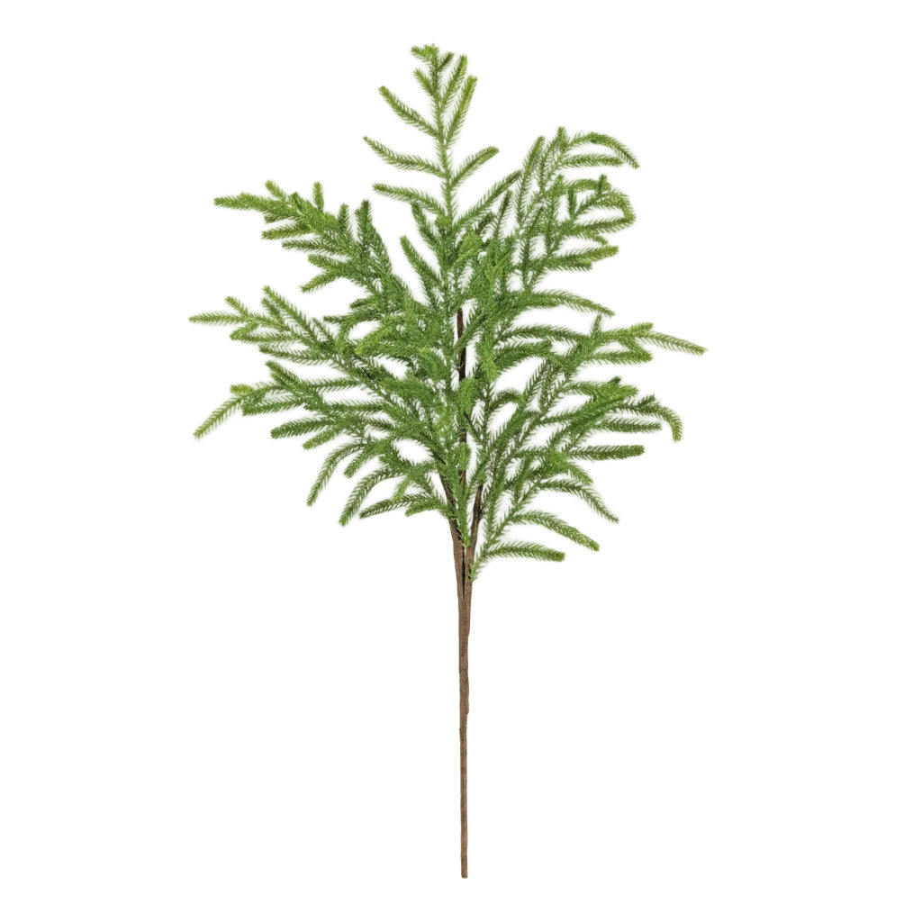 An artificial green norfolk pine tree branch with a brown stem, isolated on a white background.