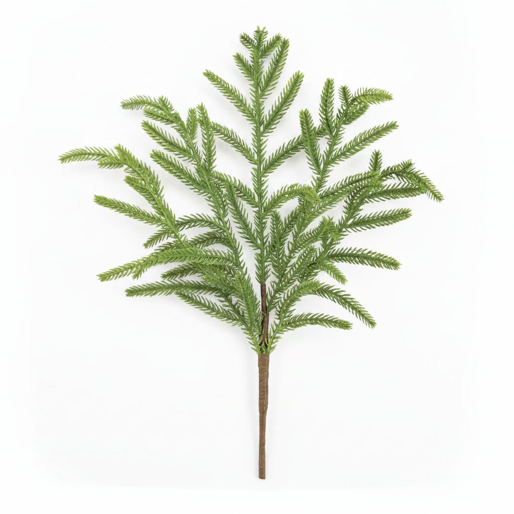 Artificial norfolk pine tree branch on a white background
