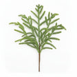 Artificial norfolk pine tree branch on a white background