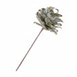 A single real-looking pinecone stem with a pale sage-green gold and a long brown stem, isolated on a white background.