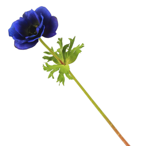 17.5" Blue Poppy Anemone