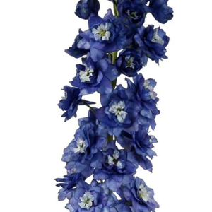 47" Blue Delphinium Flower