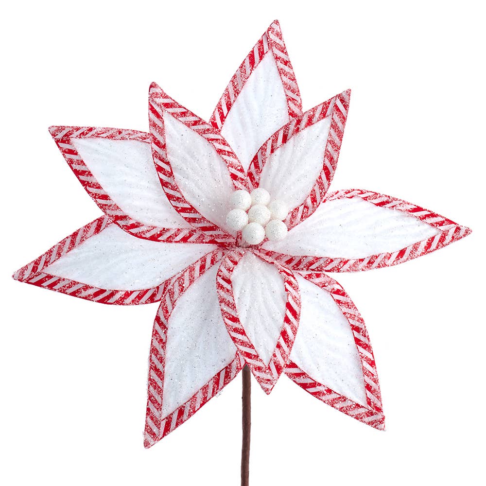 A white frosted velvet poinsettia with candy cane border on a stem.