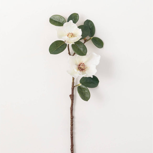19" White Magnolia Stem