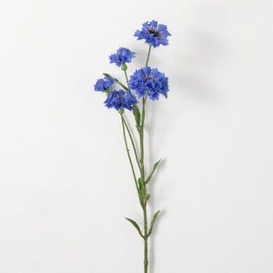 30" Brilliant Blue Cornflower Stem