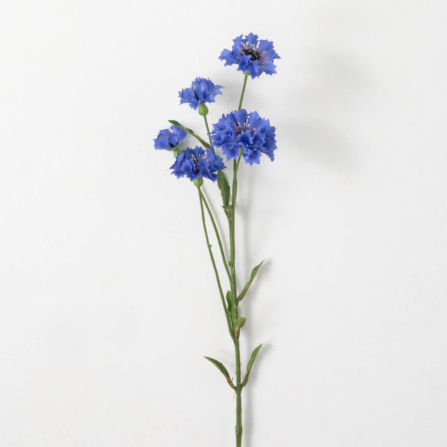 30" Brilliant Blue Cornflower Stem