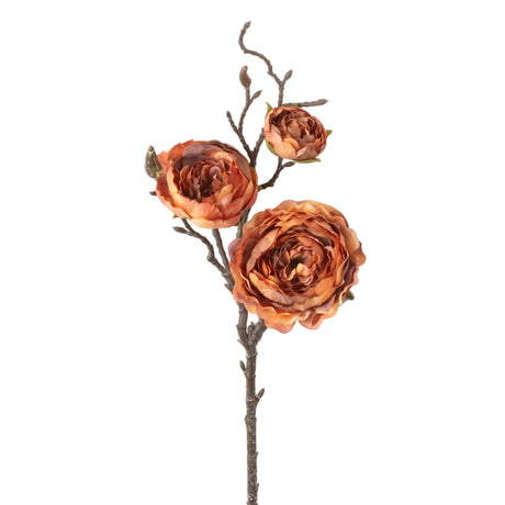 Ranunculus Spray, Cream & Orange, additional view
