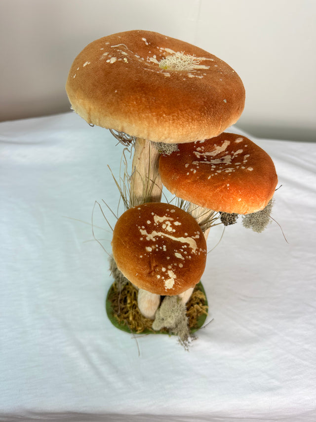 Mushroom Polyester velvet grass