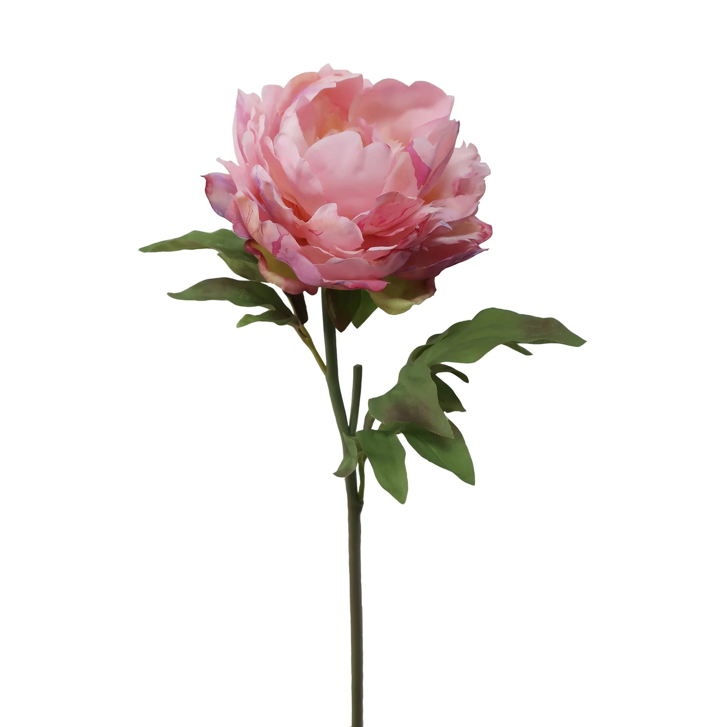 Pink Watercolor Faux Peony- 20.5"