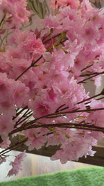 51" Late Season Cherry Blossom Stem | Pink