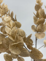 20" Tan Eucalyptus Bush
