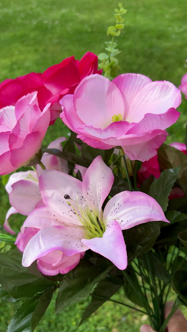 24" Pink Rose Magnolia Lily Bush