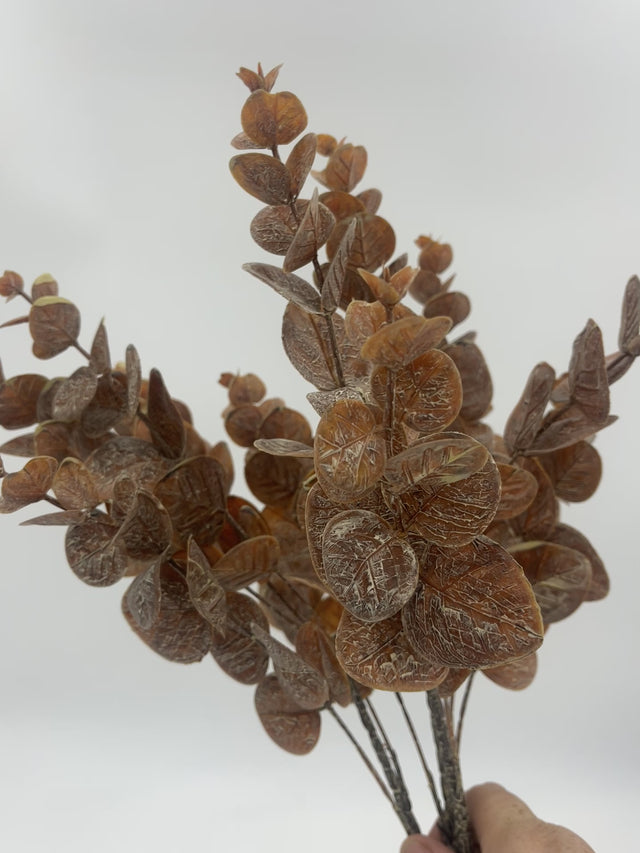 20" Brown Eucalyptus Bush