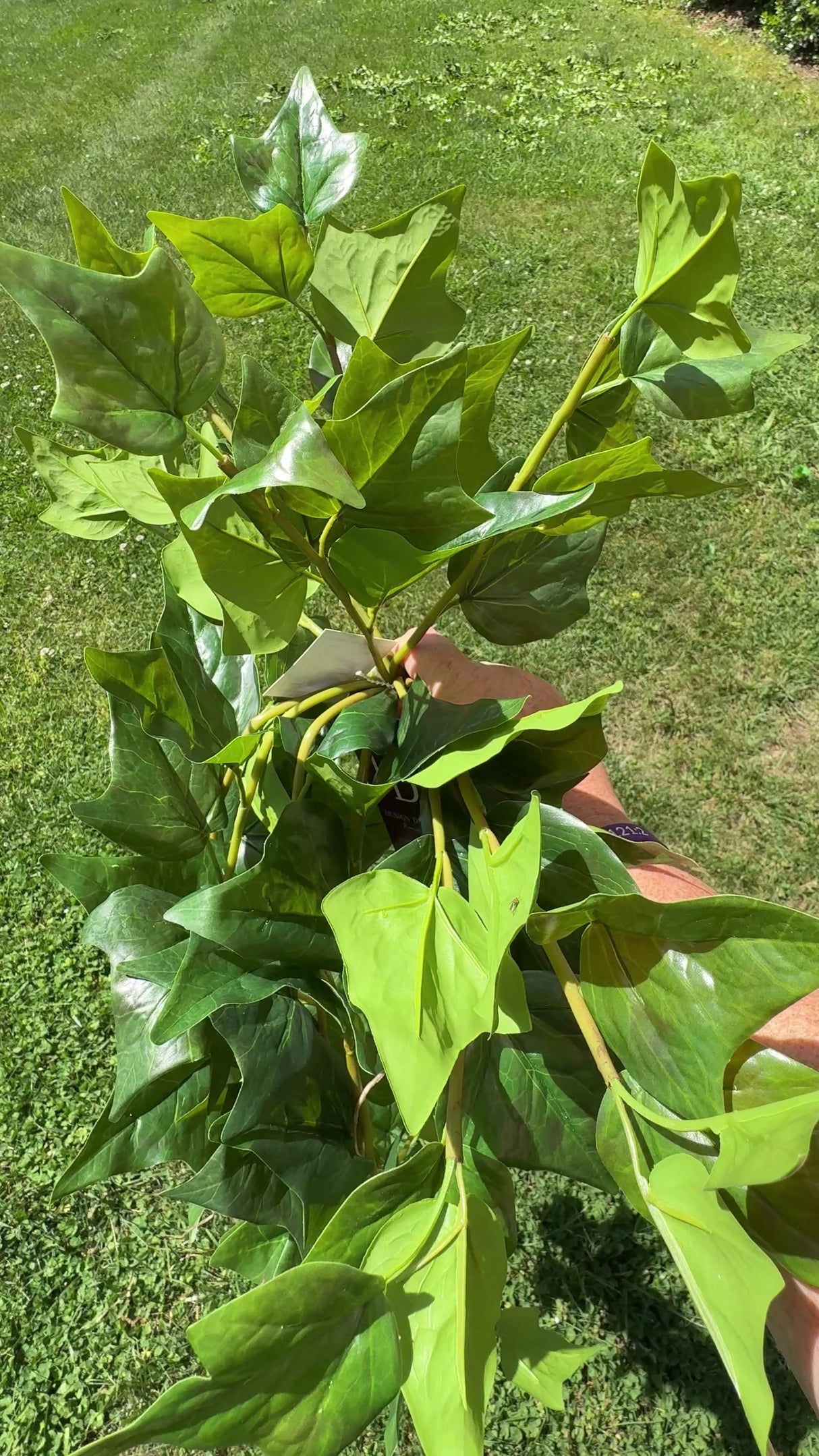 42" UV Natural-Touch Garden Ivy Hanging Bush