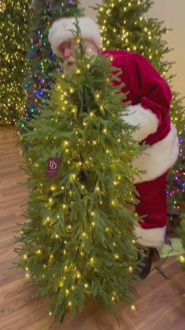 5' Natural Touch Norfolk Pine Christmas Tree