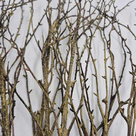 Birch Faux Branch, Grey, additional view