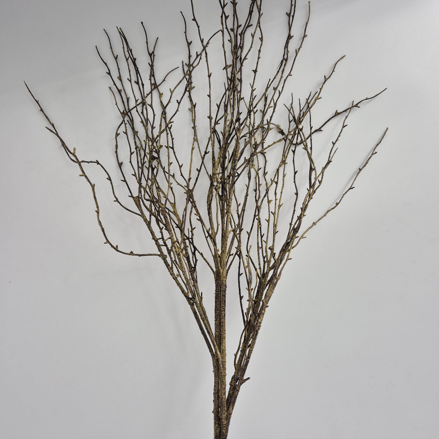 39" Birch Faux Branch | Grey