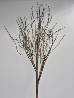 39" Birch Faux Branch | Grey