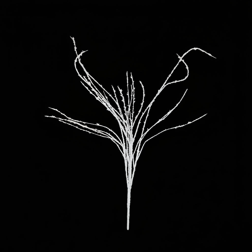 36" White Twig Branch