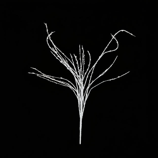 36" White Twig Branch