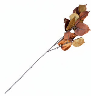 30" Spice Velvet Ficus Spray