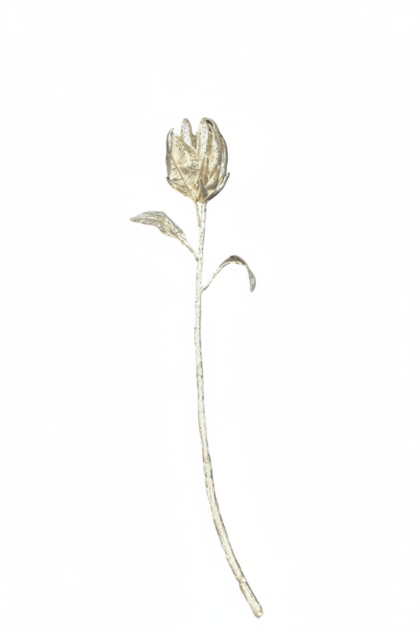 28" Champagne Protea Flower
