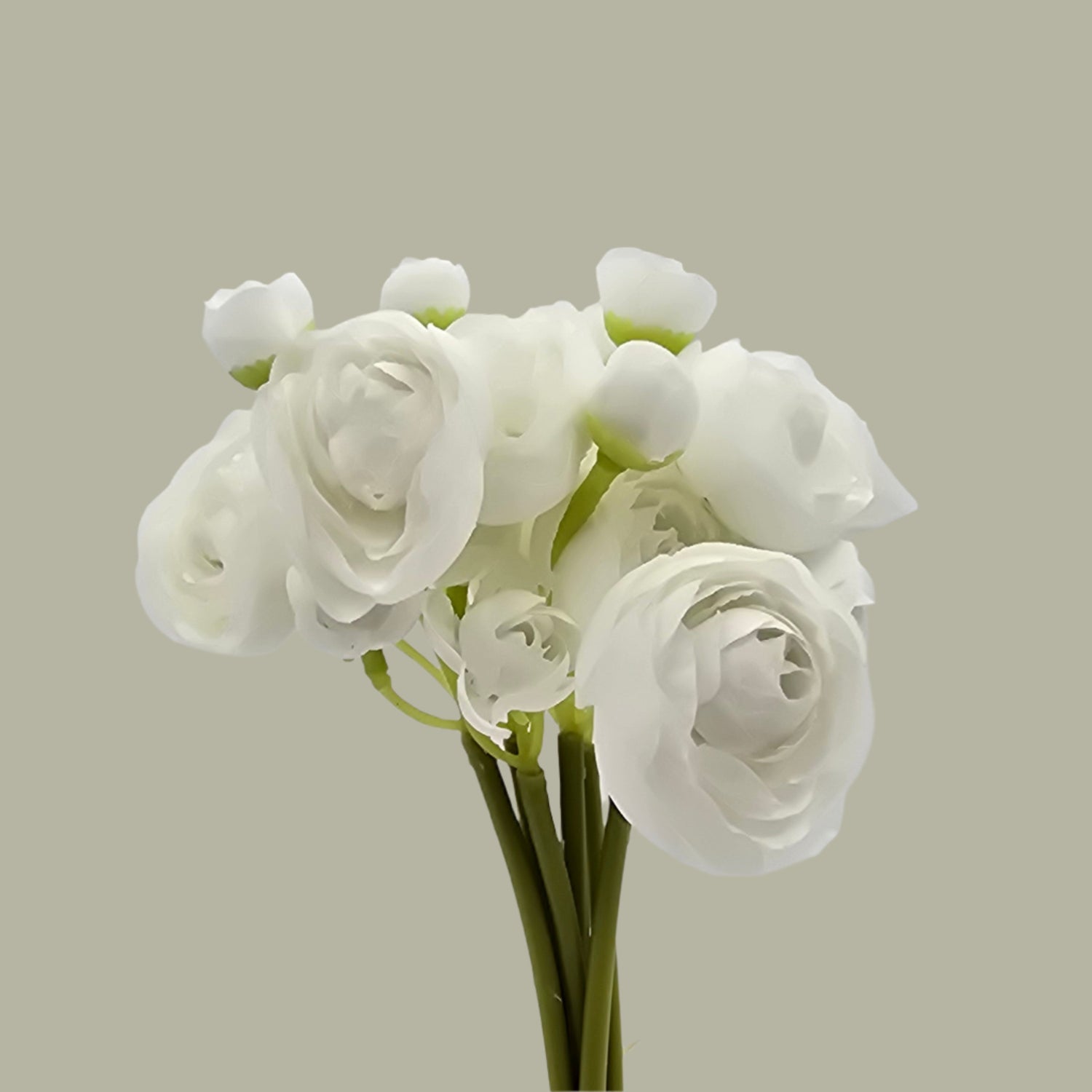 11" White Ranunculus Bundle