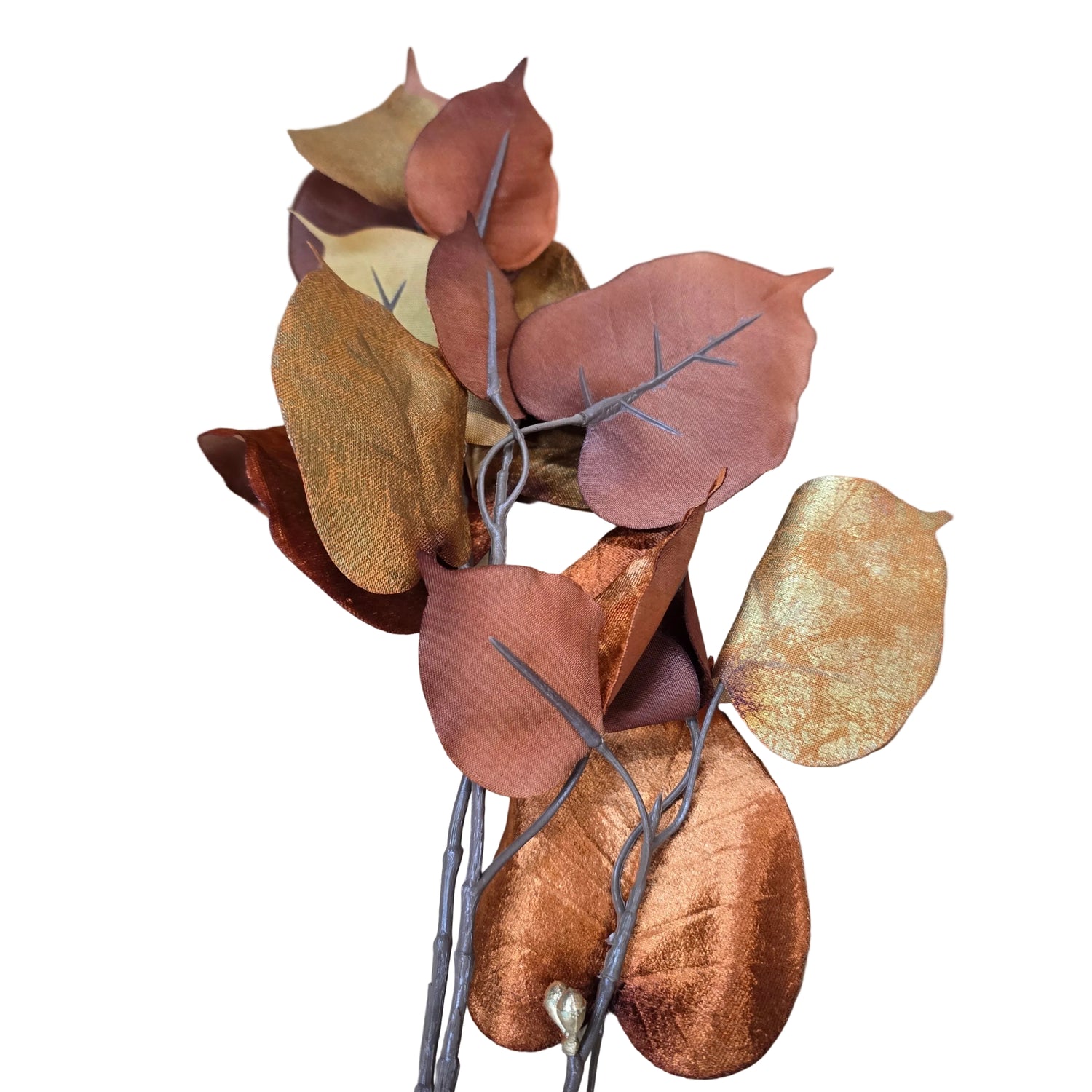 30" Spice Velvet Ficus Spray