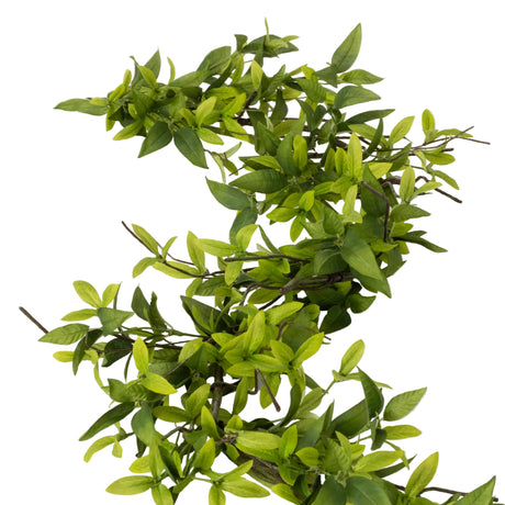Artificial green leafy branch on a white background