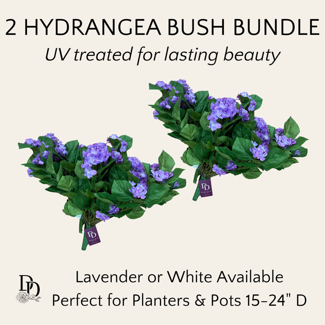 Outdoor Hydrangeas 2-Bush Bundle | White or Purple | UV Treated