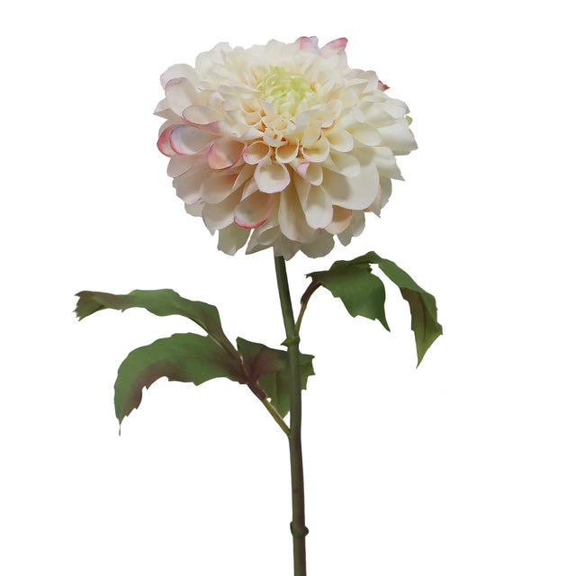 19.5" Dahlia Stem | Ivory Watercolor