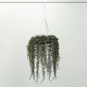 26" Draping Cypress Hanging Wreath