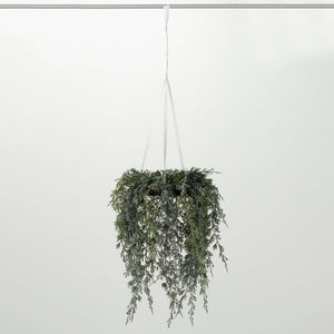 18" Draping Cypress Hanging Wreath