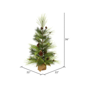 Larkspur Pine Tree with Burlap Base