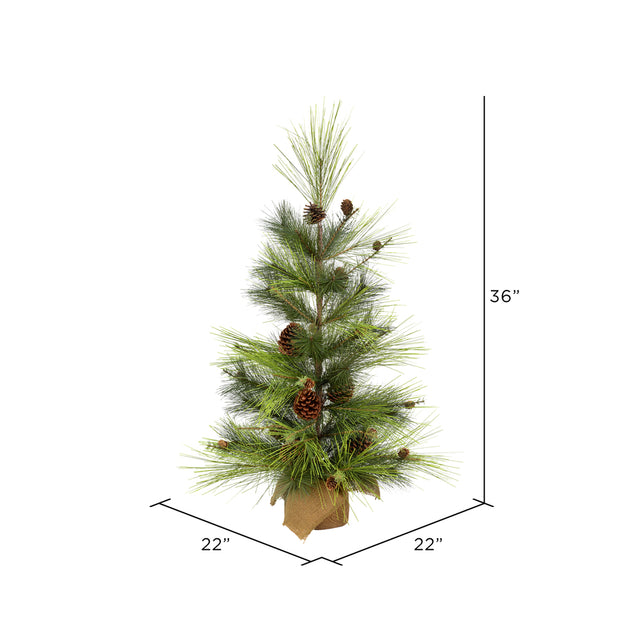 Larkspur Pine Tree with Burlap Base