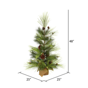 Larkspur Pine Tree with Burlap Base