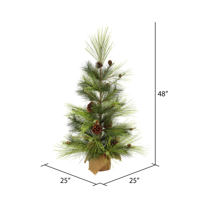 Larkspur Pine Tree with Burlap Base