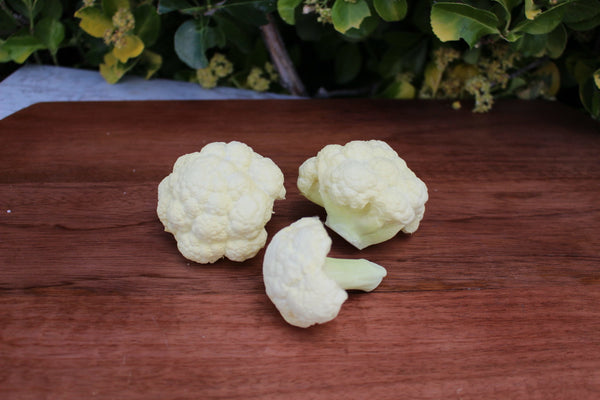 CAULIFLOWER-1003-scaled