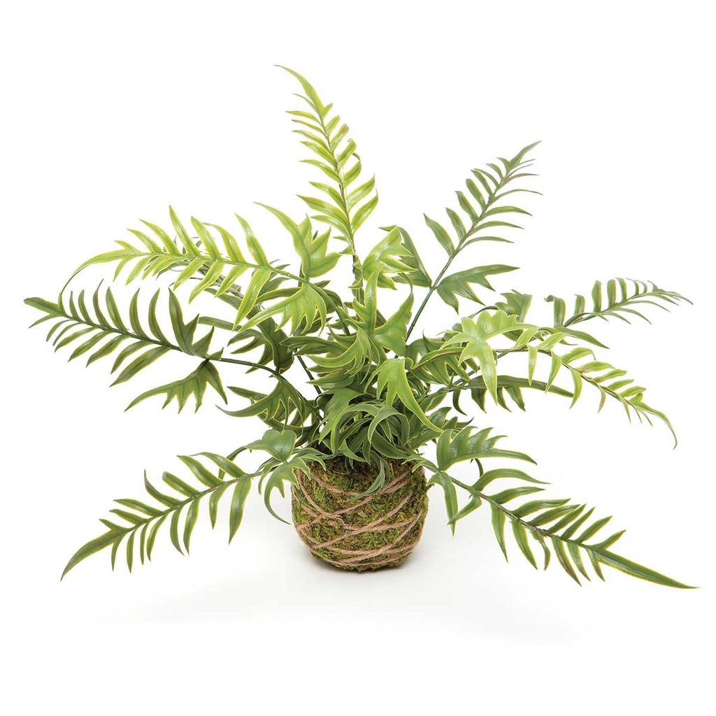 E2067 Forest Fern Moss Ball