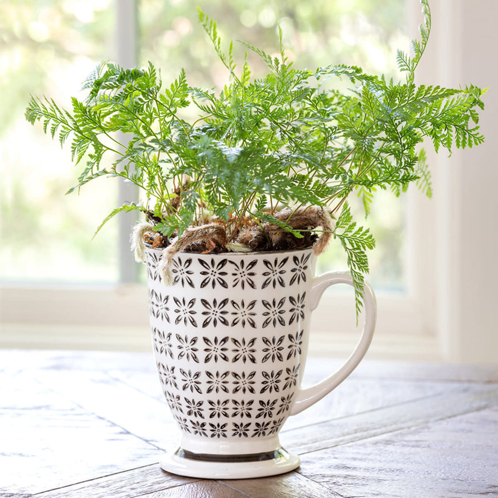 EAW00132_main-01 MUG