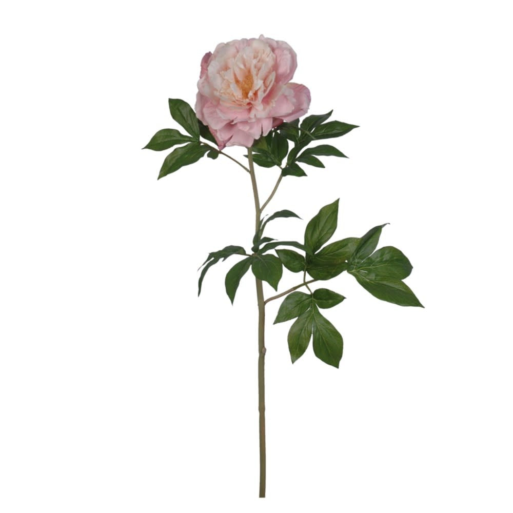 gb86349n cpa_lg japan peony