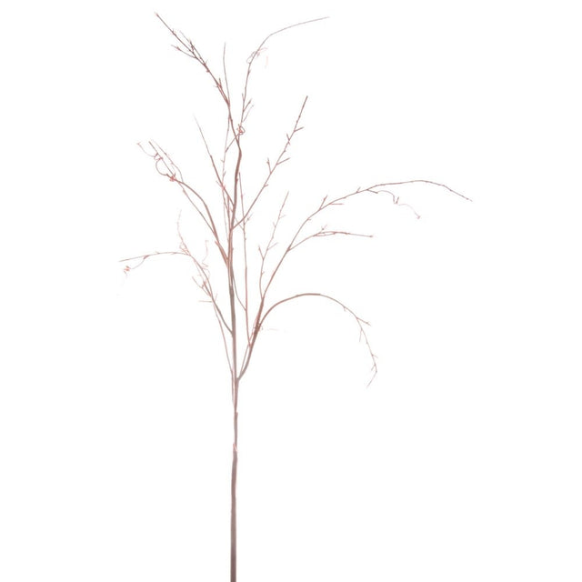 ge10342n rd_lg WILLOW TORTUOSE